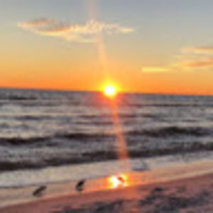 Meet your Posher, Marna